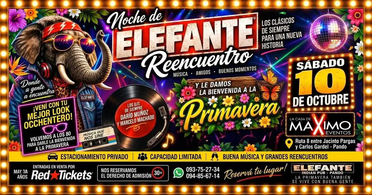 Noche de Elefante. Reencuentro
