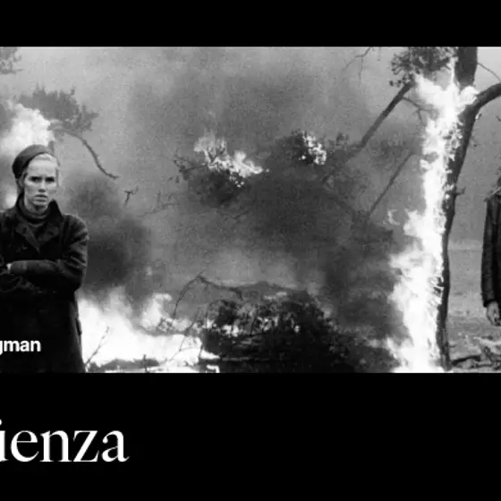 Cine Arte - Verguenza